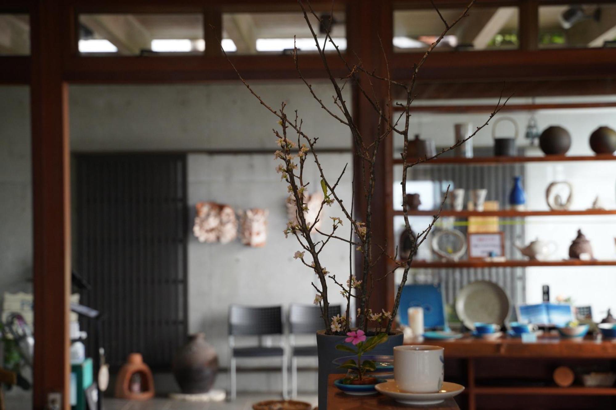 Apartment ホテルコンドミニアム土花土花 *